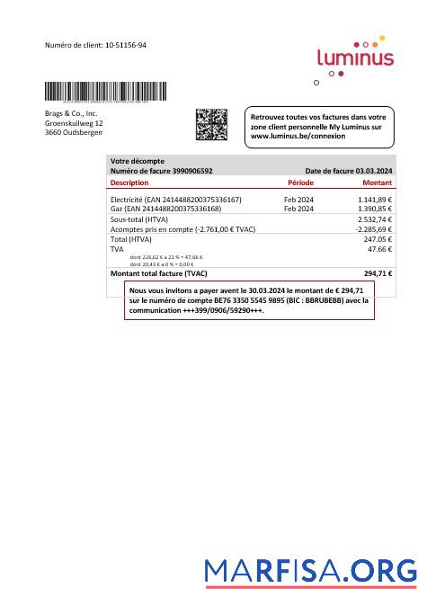 Printable Belgium Luminus business utility bill template in Word and PDF format